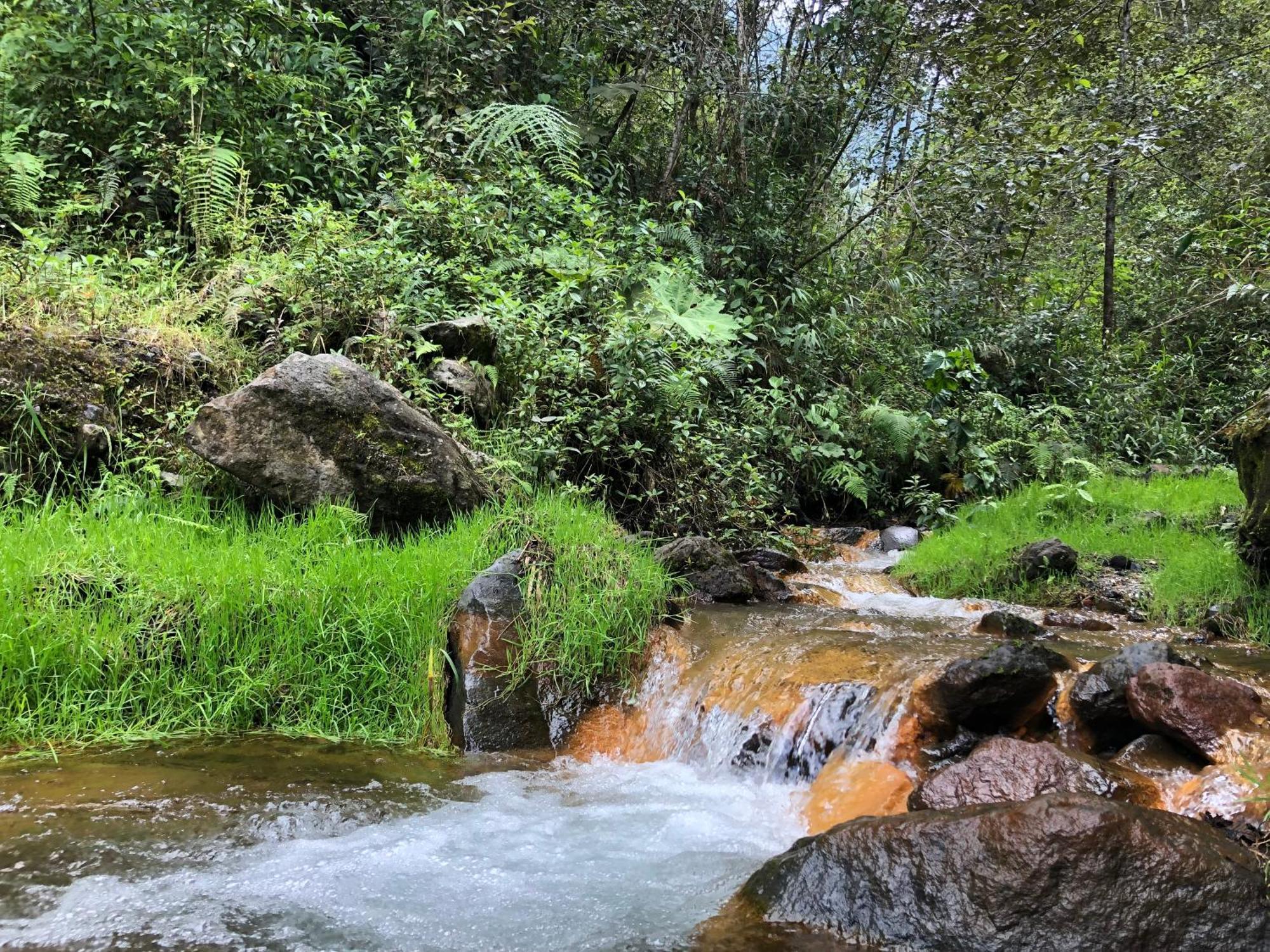 Mountain Chalet - Tungurahua Hot Springs/Aguas Termales บาญอส ภายนอก รูปภาพ